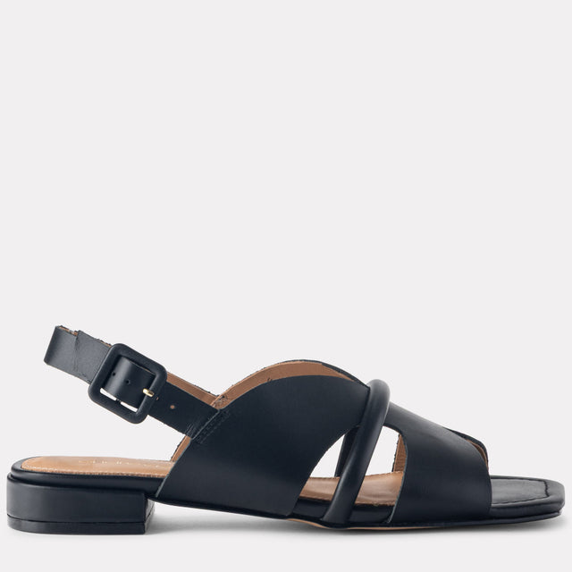 Andre Assous Shoes: Comfort Meets Classic Style
