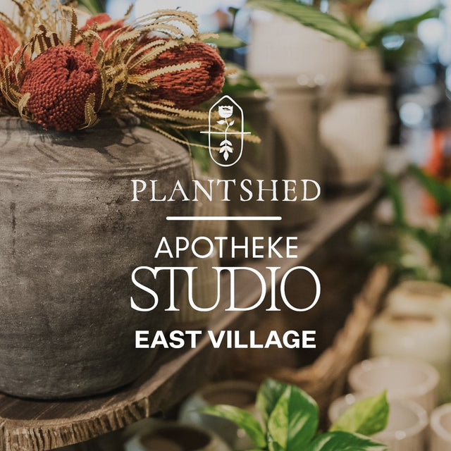 Apotheke Candles & Home Fragrance Review
