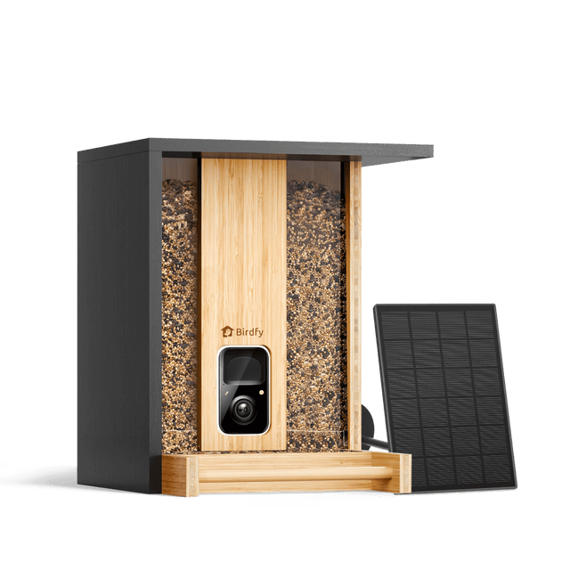 Birdfy Smart Bird Feeder Camera Review