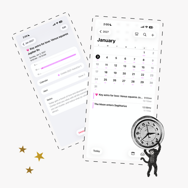 CHANI Review