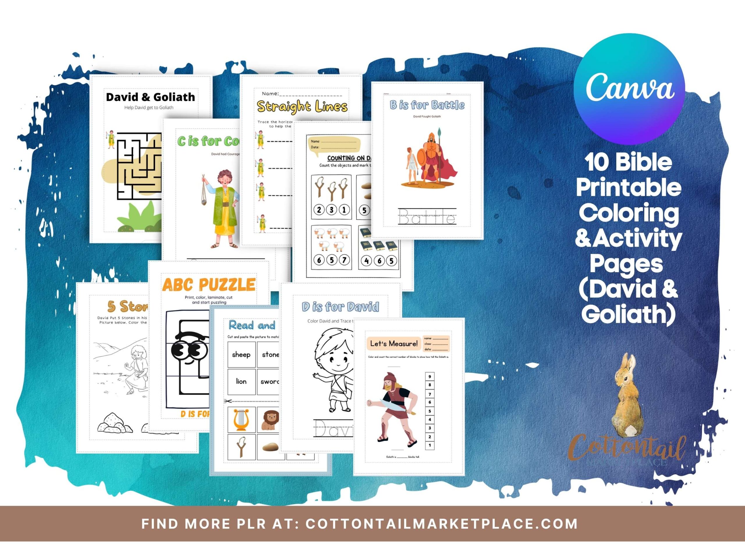 Cottontail Marketplace: PLR Resources for Business Growth
