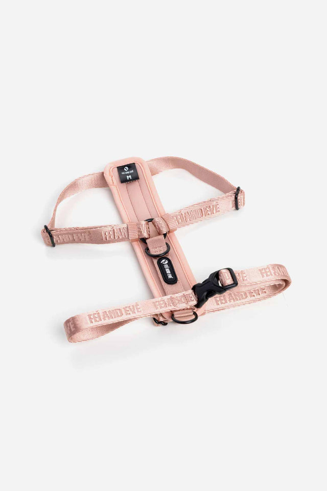 Fei and Eve Dog Gear Review: Style Meets Function