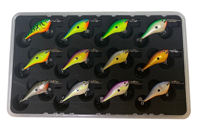 Fishmorecompany Snacks: Quality Treats with Solid Savings