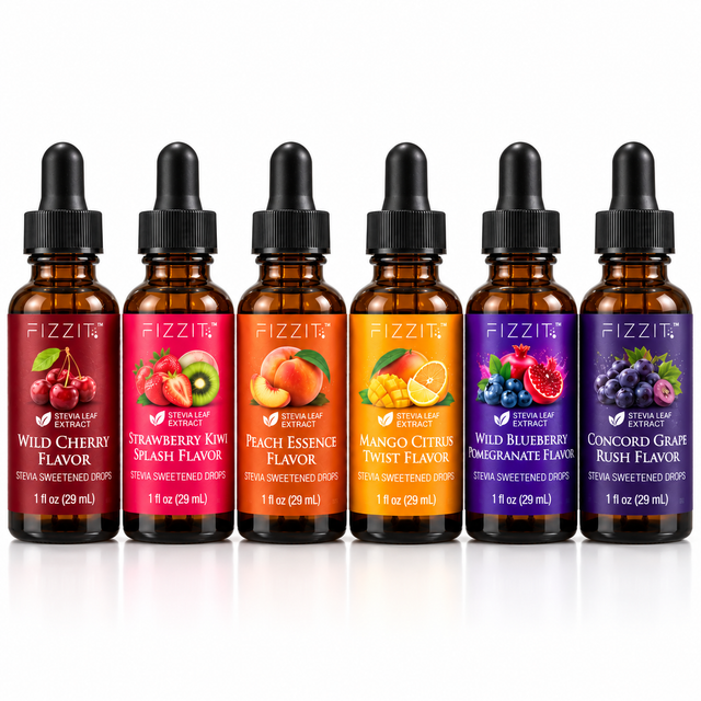 Fizzit Review
