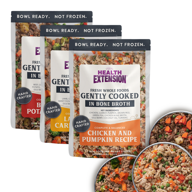 Health Extension Pet Food: Natural Recipes for Dogs & Cats
