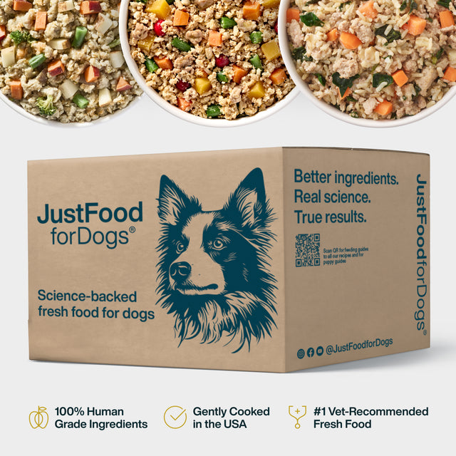 JustFoodForDogs: Custom Pet Nutrition at Scale