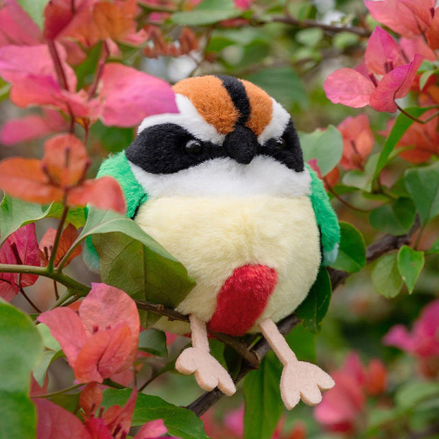 KEAIART Review: Animal-Inspired Art and Crafts