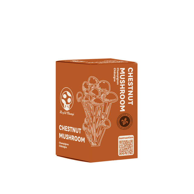 Le Petit Champi mushroom growing kits for home gardeners