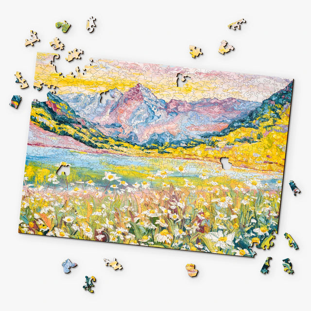 Leogor Puzzle Review: Premium Quality at Fair Prices