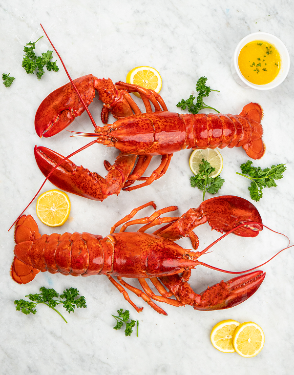 Lobsterboys Delivers Fresh Wild-Caught Atlantic Lobster