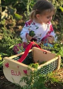 Maine Garden Products: Thoughtful Garden Tools and Cedar Structures