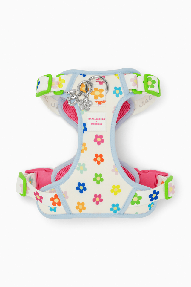maxbone Dog Gear: Stylish Carriers, Beds & Apparel