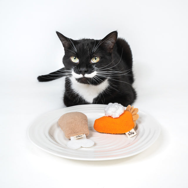 Meowbox: Monthly Surprise Boxes for Cat Lovers