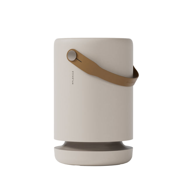 Molekule Air Purifiers: Clean Air on a Budget