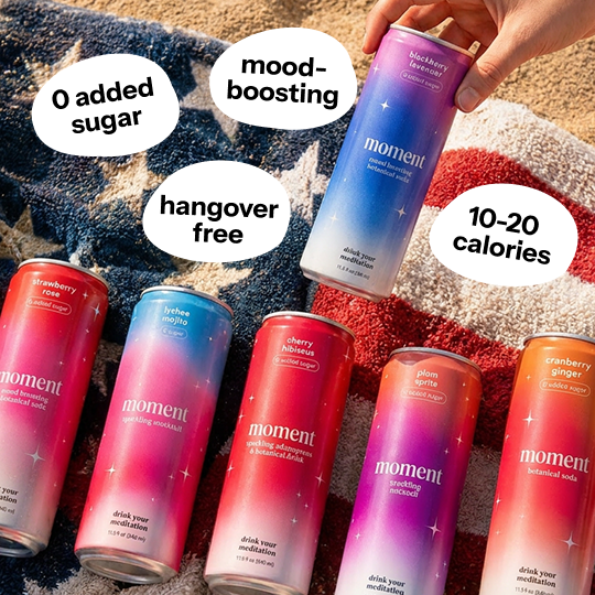 Moment Botanical Drink Review: Meditation in a Can