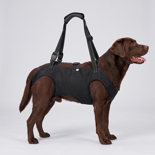 NUGGAL: Pet Hair–Resistant Apparel for Pet Owners