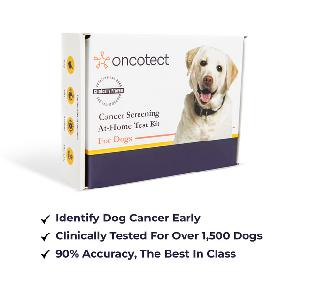 Oncotect Dog Cancer Screening: Early Detection at Home