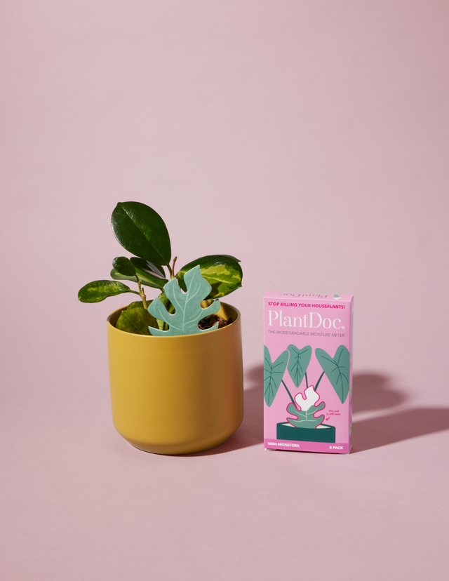 PlantDoc Moisture Meters: Eco-Friendly Plant Care