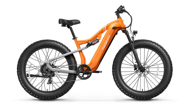 PUCKIPUPPY Bikes Review: Fun E-Bikes on a Budget