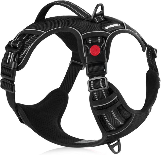 Rabbitgoo Pet Harnesses & Gear Review