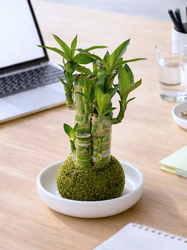 Serenehaven: Hong Kong Florist with Bespoke Arrangements