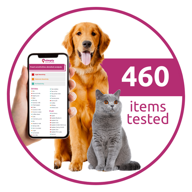 Simply Sensitivity Checks: At-Home Food Tests