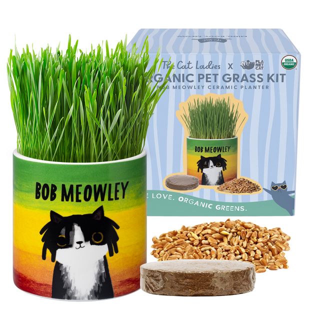 The Cat Ladies: Stylish Cat Supplies & Garden Décor