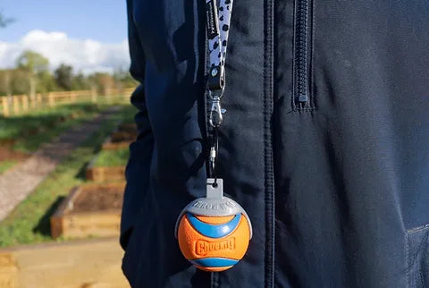 TopDog Harnesses: Dog Walking Gear for Every Breed