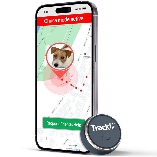 Tracki GPS Trackers: Real-Time Tracking for Vehicles and Pets