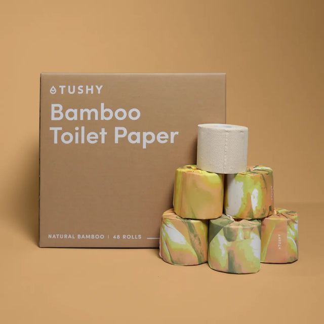 TUSHY Bidet Seats and Fixtures Review