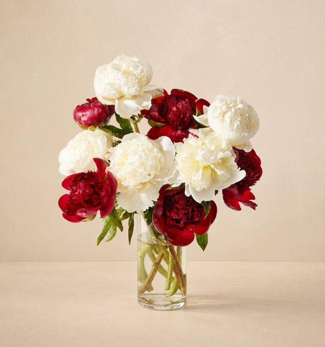 UrbanStems Flower Delivery: Fresh Arrangements with Savings