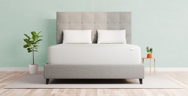Vaya Sleep Mattresses & Pillows Review
