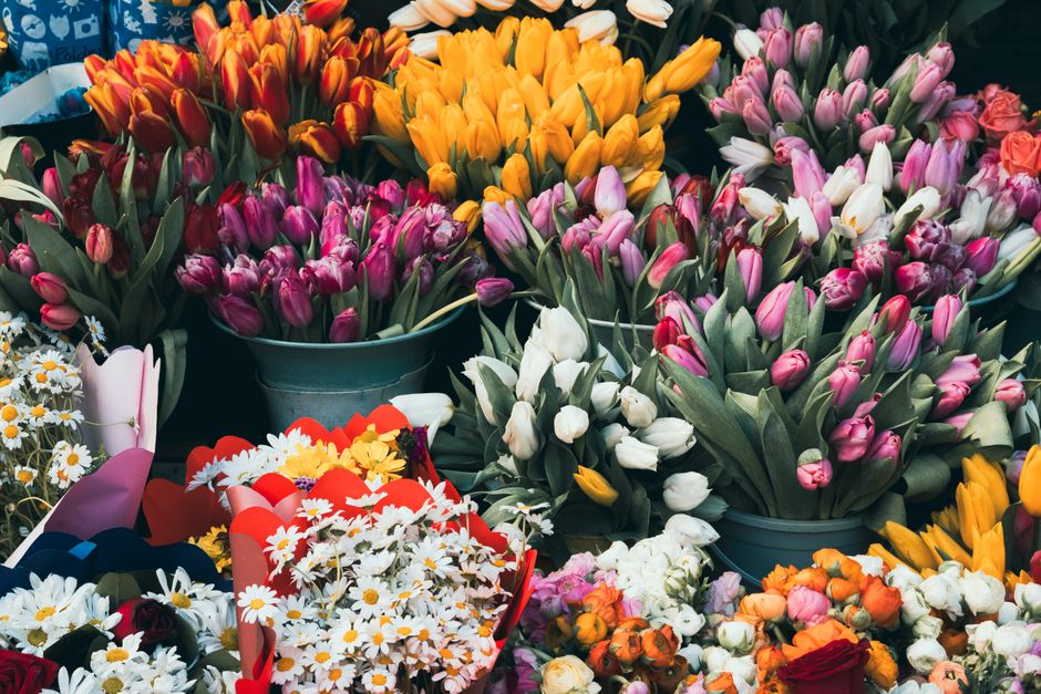 Minted: Curated Art & Cards from Independent Designers